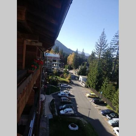 Large Vacation Apartment In ポイアナ・ブラショフ エクステリア 写真