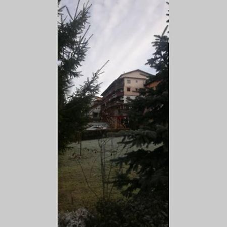 Large Vacation Apartment In ポイアナ・ブラショフ エクステリア 写真