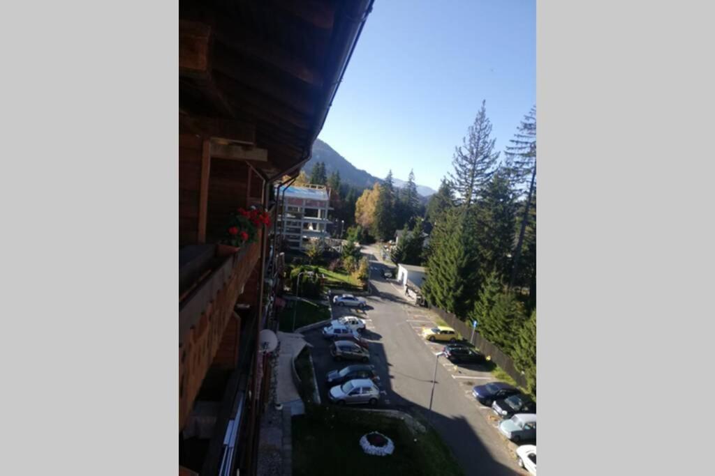 Large Vacation Apartment In ポイアナ・ブラショフ エクステリア 写真