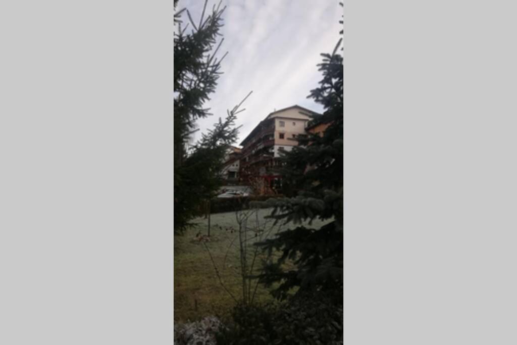 Large Vacation Apartment In ポイアナ・ブラショフ エクステリア 写真
