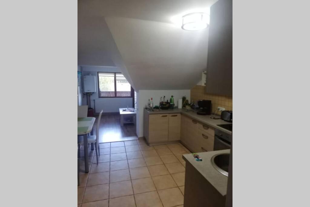 Large Vacation Apartment In ポイアナ・ブラショフ エクステリア 写真