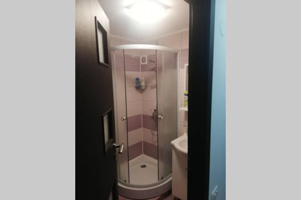 Large Vacation Apartment In ポイアナ・ブラショフ エクステリア 写真