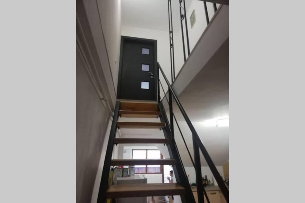 Large Vacation Apartment In ポイアナ・ブラショフ エクステリア 写真