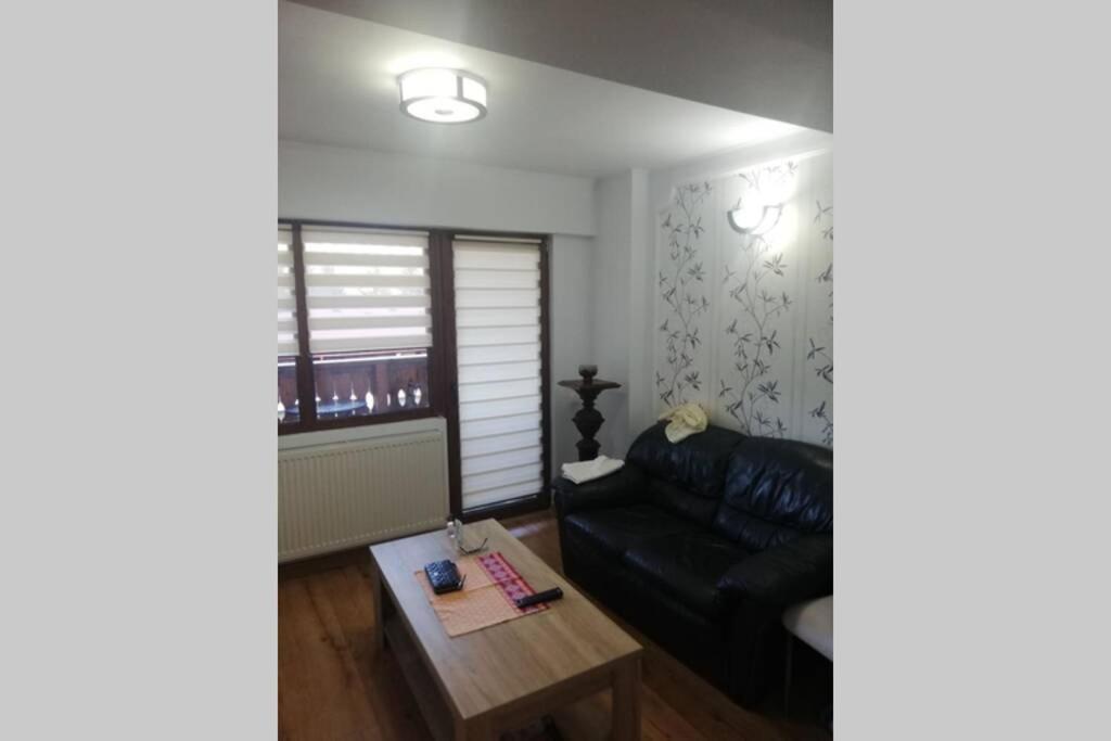 Large Vacation Apartment In ポイアナ・ブラショフ エクステリア 写真